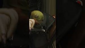Video post by @browns on YouTube