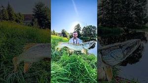 Video post by @jonasederfishing on YouTube