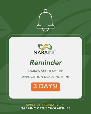 Image post by @nabainc on Instagram
