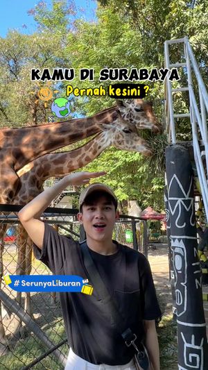 Video post by @efryee on TikTok