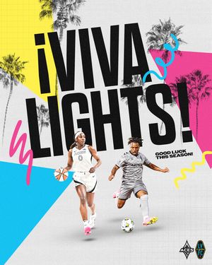 Image post by @lvaces on Instagram