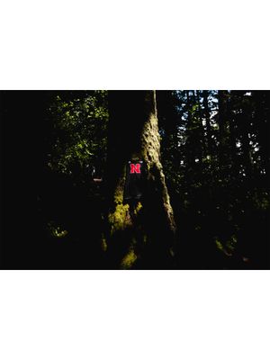 Image post by @macjohnsonmedia on Instagram