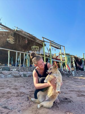 Image post by @josiestoffan on Instagram