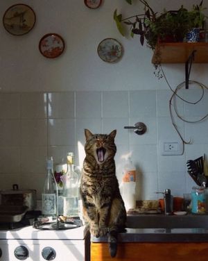 Image post by @fubiz on Instagram