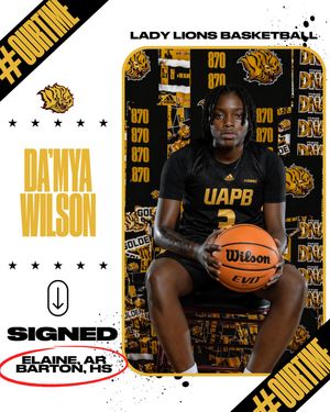 Image post by @uapblionswbb on Instagram