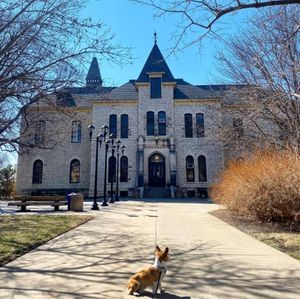 Image post by @kansasstateuniversity on Instagram