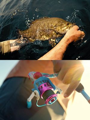 Image post by @profishiency on Instagram
