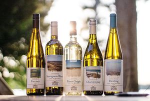 Image post by @glenarborwines on Instagram