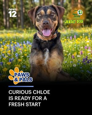 Image post by @news12nj on Instagram