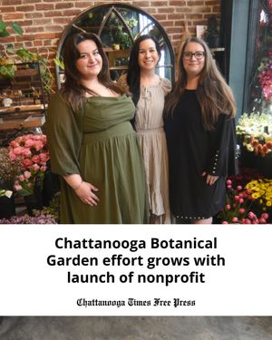 Image post by @chattanooga on Instagram
