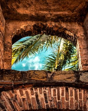 Image post by @shauns_shots on Instagram