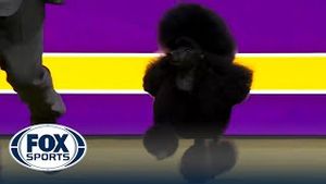 Video post by @foxsports on YouTube