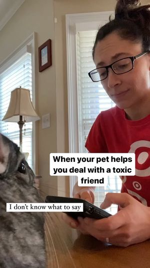 Video post by @chinpals on Instagram