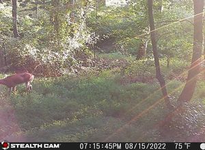 Image post by @thehuntingchallenge on Instagram
