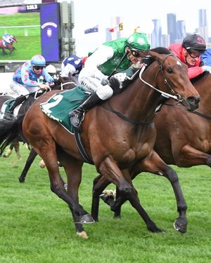 Image post by @flemingtonvrc on Instagram