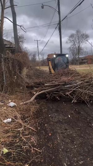 Image post by @DetroitParksRec on Facebook