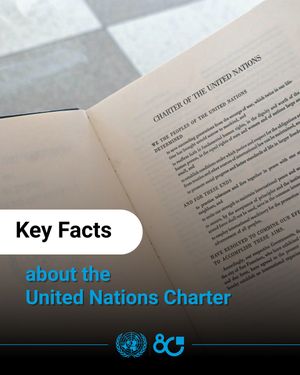 Image post by @unitednations on Instagram