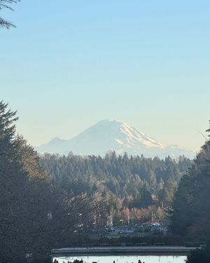 Image post by @uofwa on Instagram