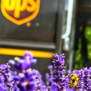 Image post by @ups on Instagram