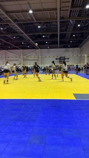 Video post by @simbavolleyball on TikTok