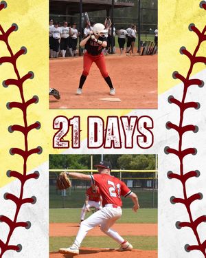 Image post by @larocheredhawks on Instagram