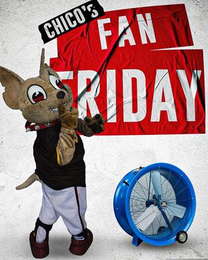 Image post by @chico_epchihuahuas on Instagram