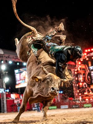 Image post by @pbrbrazil on Instagram