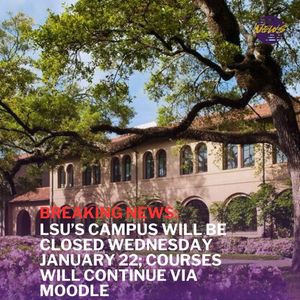 Image post by @lsutigertv on Instagram