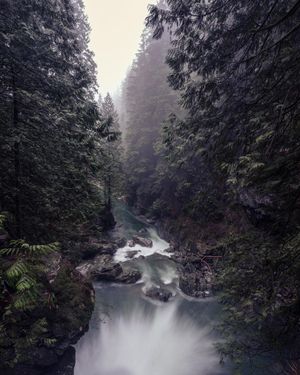 Image post by @bill.yao on Instagram