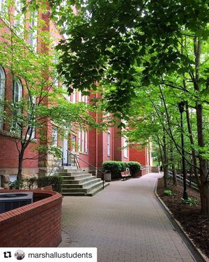 Image post by @marshallu on Instagram