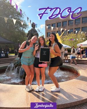 Image post by @sfa_cheer_ on Instagram