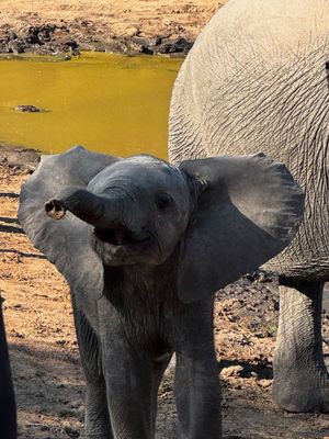 Image post by @jewel on Instagram