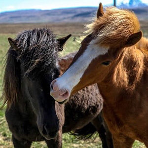 Image post by @jc_burke on Instagram