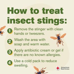 Image post by @americanredcross on Instagram