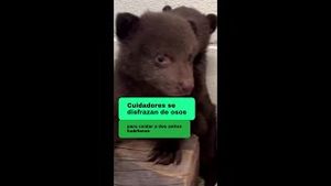 Video post by @laopinionla on YouTube