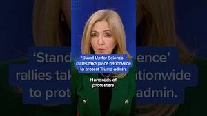 Video post by @msnbc on YouTube