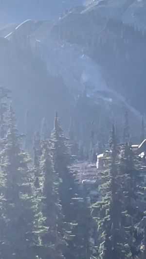 Video post by @thepipelinelife on TikTok