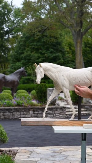 Image post by @coolmoreamerica on Instagram