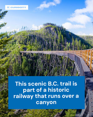 Image post by @curiocityvancouver on Instagram