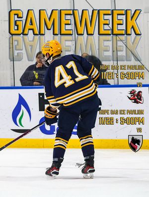 Image post by @wvuhockeyd4 on Instagram