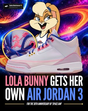 Image post by @soleretriever on Instagram