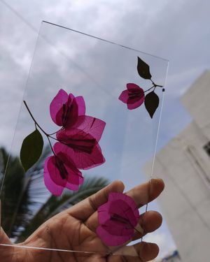 Image post by @leafyaffair on Instagram