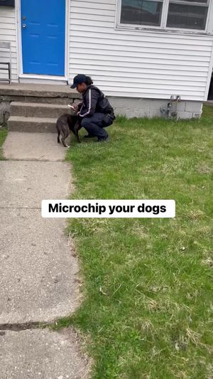 Video post by @DetroitGSD on Facebook