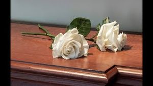 Video post by @provcollege on YouTube