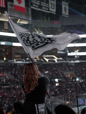 Image post by @lakingsicecrew on Instagram