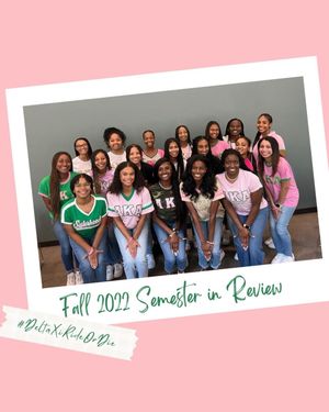 Image post by @texas_akas on Instagram