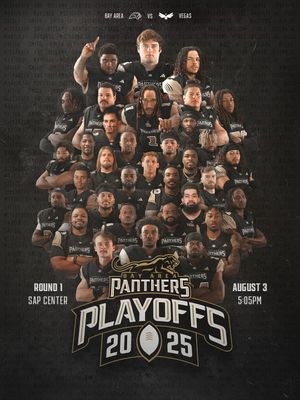 Image post by @panthersifl on Instagram