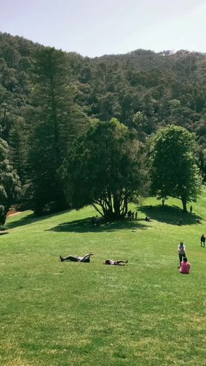 Video post by @filmbychloeg on TikTok