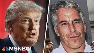 Video post by @msnbc on YouTube
