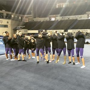 Image post by @lsugym on Instagram